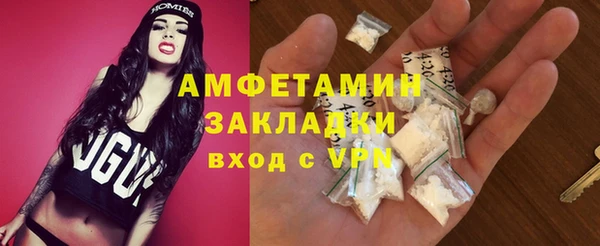 ПСИЛОЦИБИНОВЫЕ ГРИБЫ Арсеньев