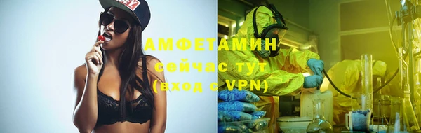 ПСИЛОЦИБИНОВЫЕ ГРИБЫ Арсеньев