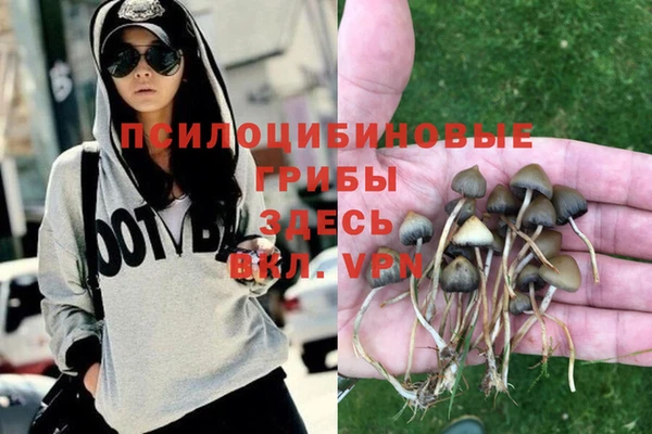 ПСИЛОЦИБИНОВЫЕ ГРИБЫ Арсеньев