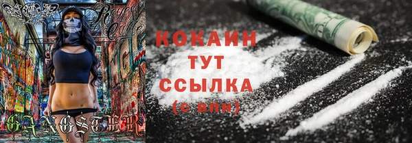 шишки Армянск