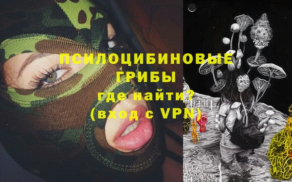 ПСИЛОЦИБИНОВЫЕ ГРИБЫ Арсеньев
